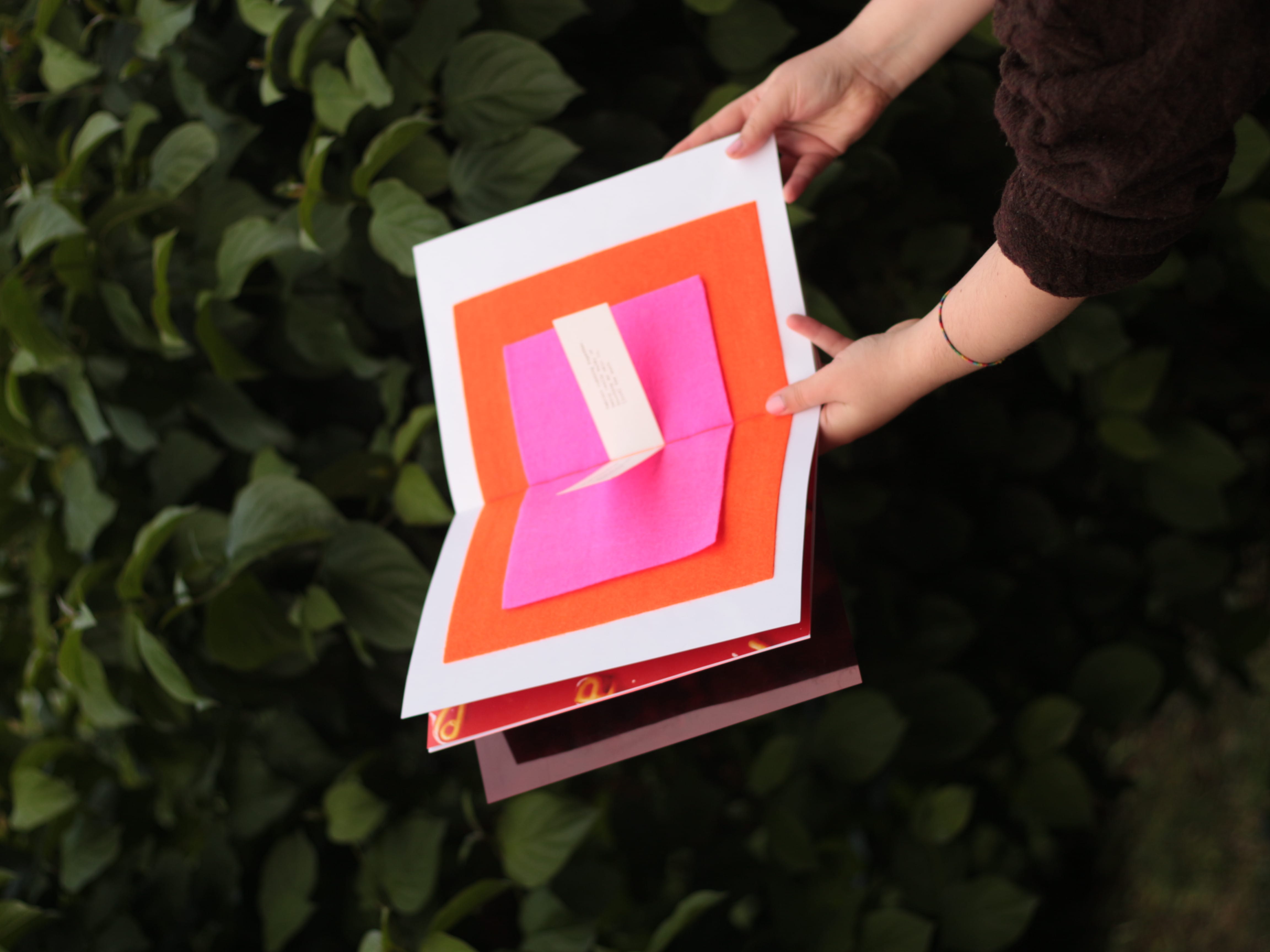 Iara Cardeira project image